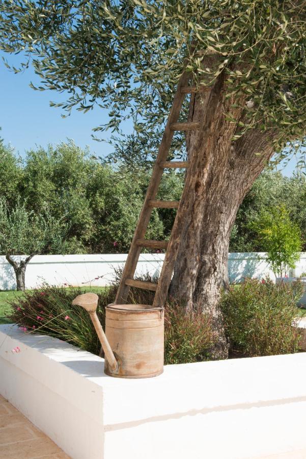Masseria Le Torri 滨海波利尼亚诺 外观 照片