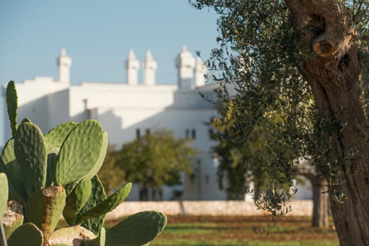Masseria Le Torri 滨海波利尼亚诺 外观 照片